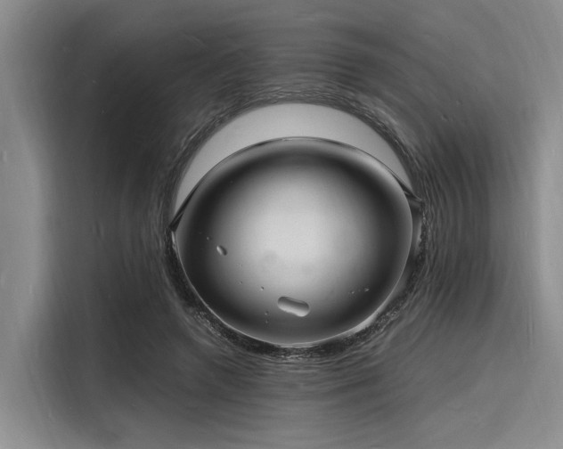 X0000116140546200911301523
