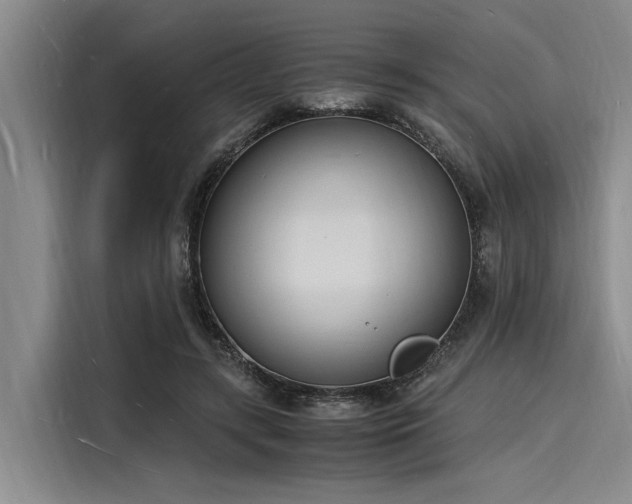 X0000116140547200911301523