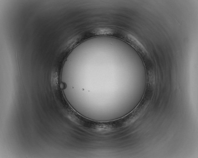 X0000116140549200911301523