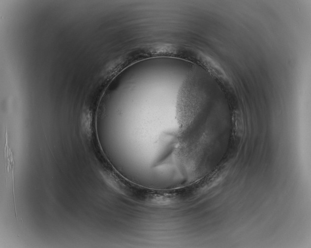 X0000116140550200911301523