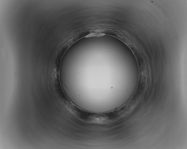 X0000116140555200911301523