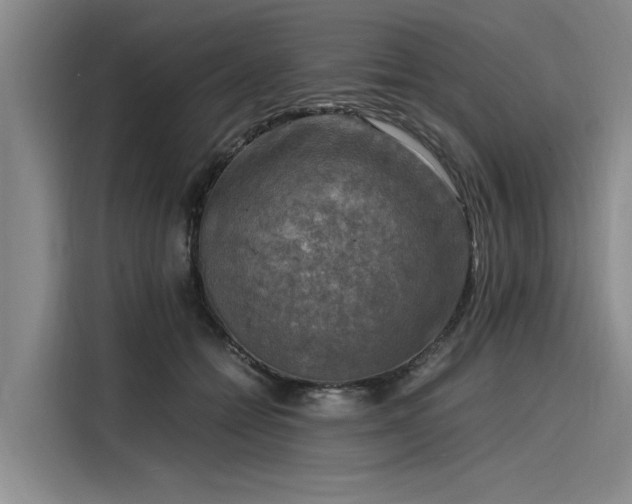 X0000116140558200911301523