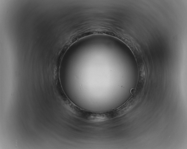 X0000116140559200911301523
