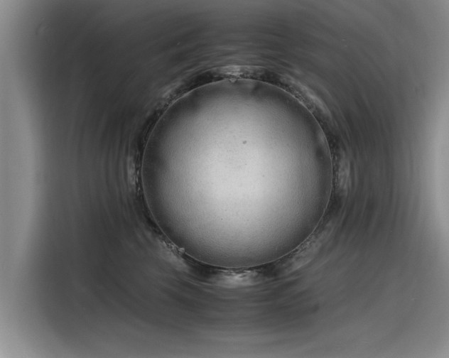 X0000116140569200911301523