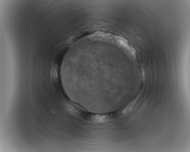 X0000116140570200911301523