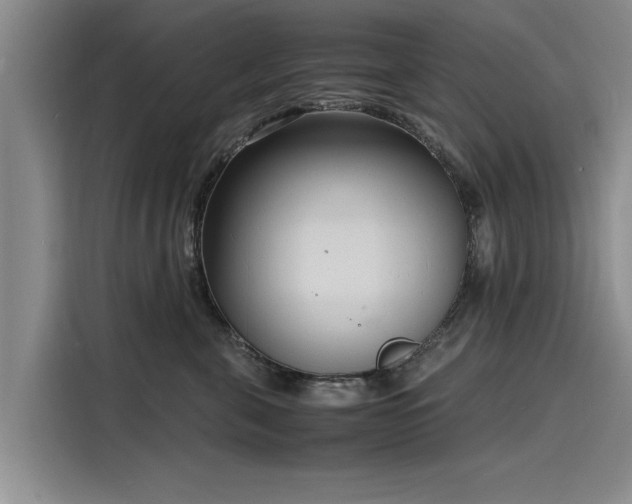X0000116140571200911301523