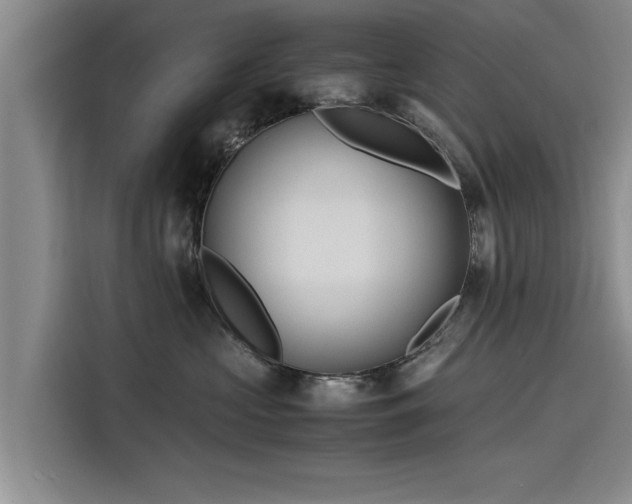 X0000116140573200911301523