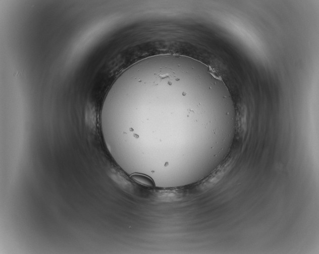 X0000116140574200911301523