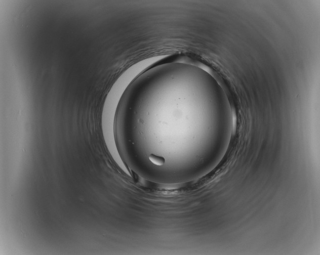 X0000116140575200911301523