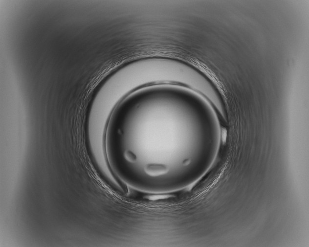 X0000116140577200911301522