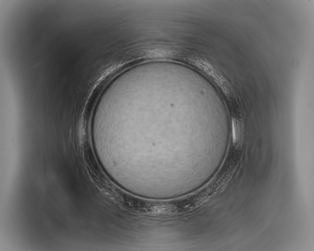 X0000116140579200911301522