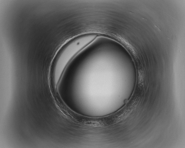 X0000116140580200911301522