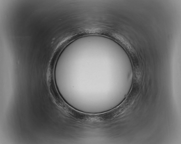 X0000116140583200911301522