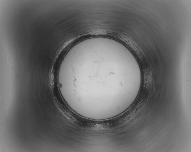 X0000116140584200911301522
