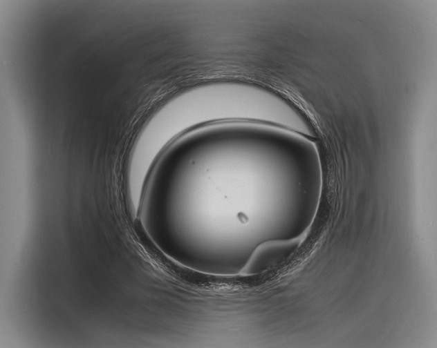 X0000116140585200911301522