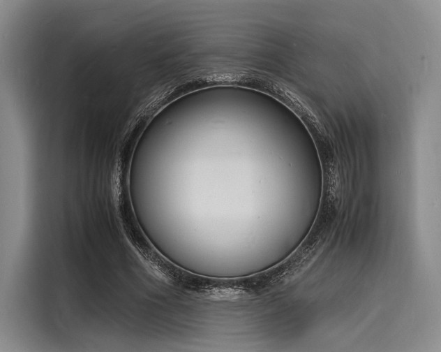 X0000116140586200911301522
