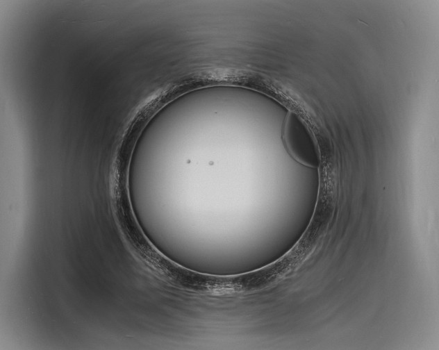 X0000116140587200911301522