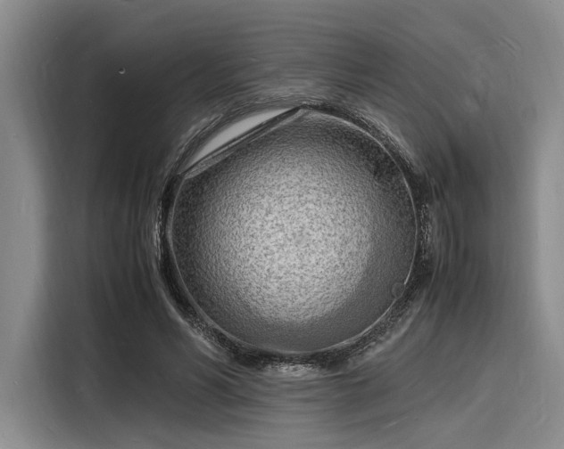 X0000116140590200911301522