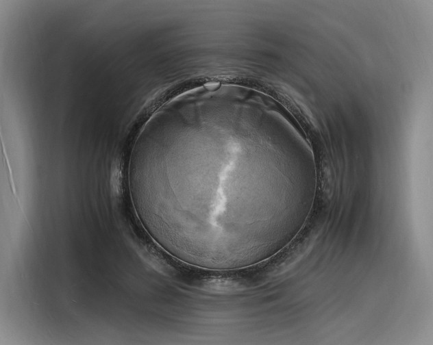 X0000116140596200911301522