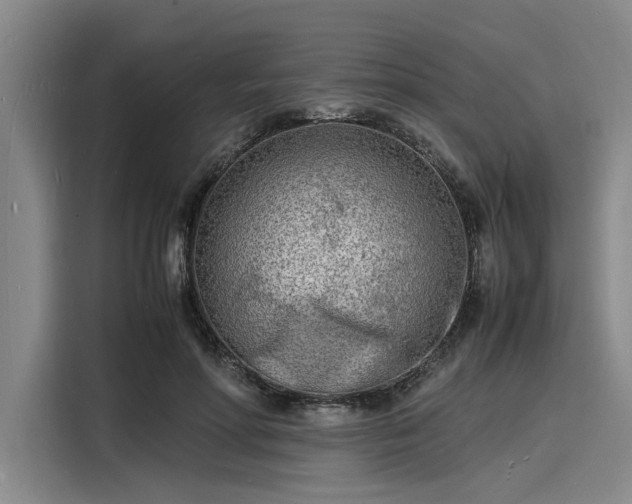 X0000116140598200911301522