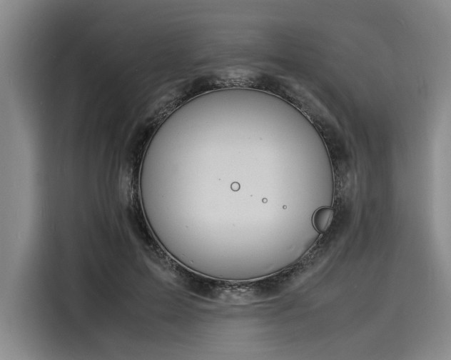 X0000116140599200911301522