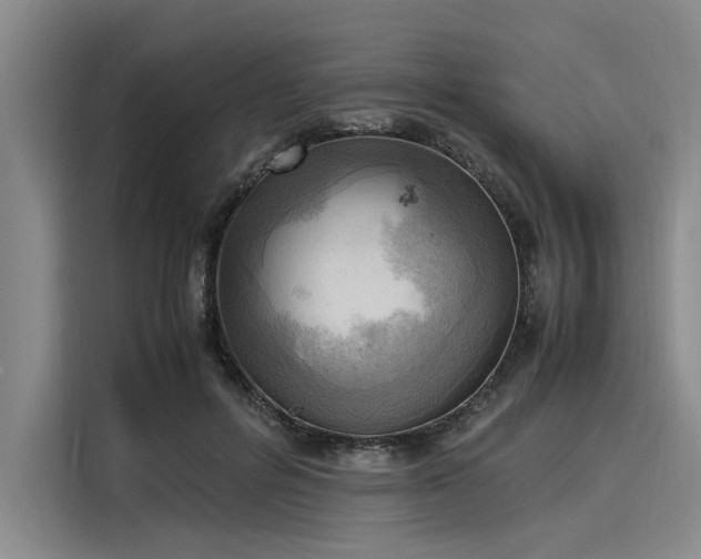 X0000116140600200911301522