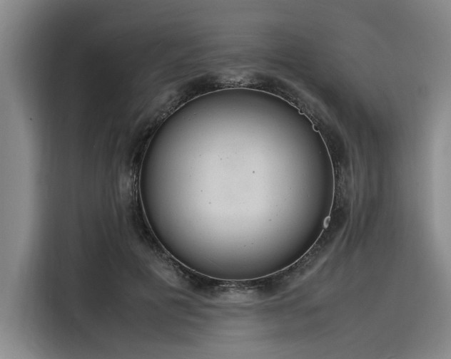 X0000116140601200911301522