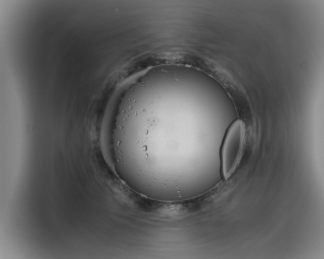 X0000116140609200911301522