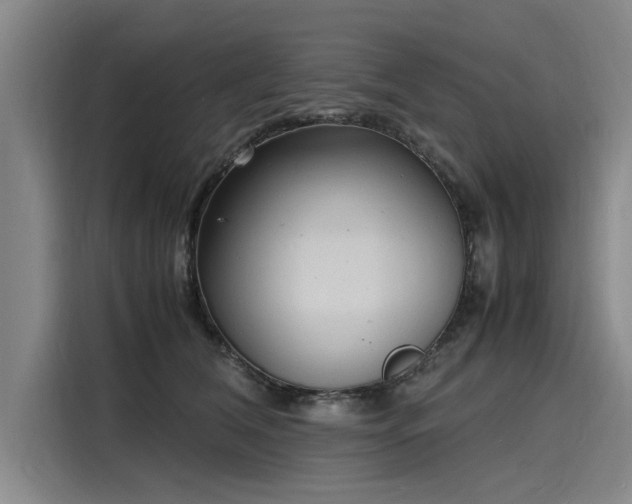 X0000116140612200911301522