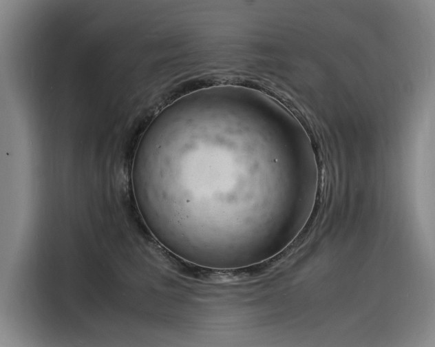 X0000116140613200911301522