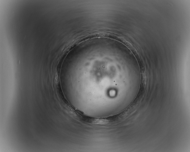 X0000116140617200911301522