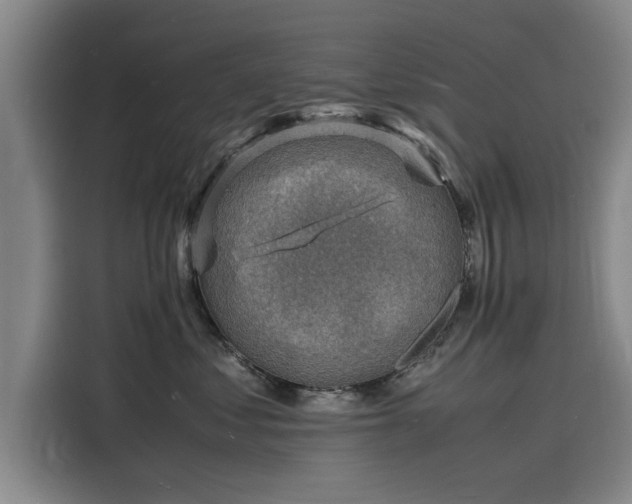 X0000116140621200911301522