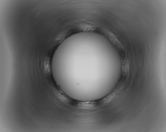 X0000116140622200911301522