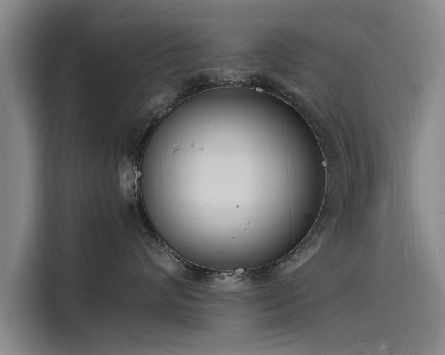 X0000116140624200911301522