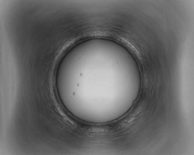 X0000116140625200911301521