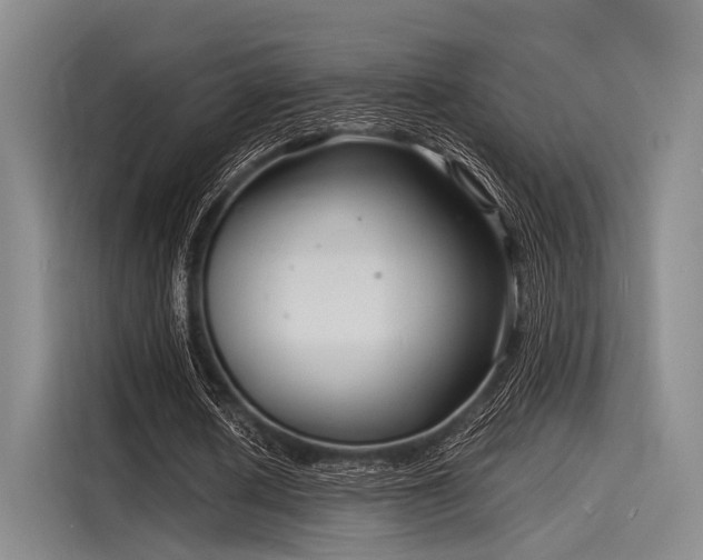 X0000116140626200911301521