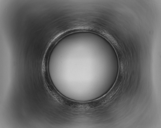 X0000116140628200911301521