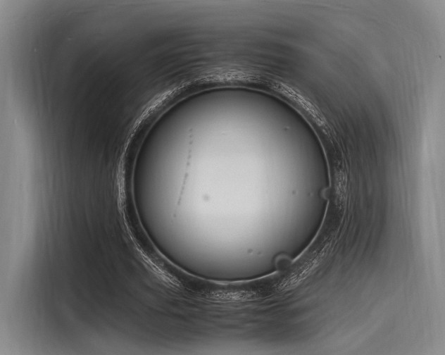 X0000116140629200911301521