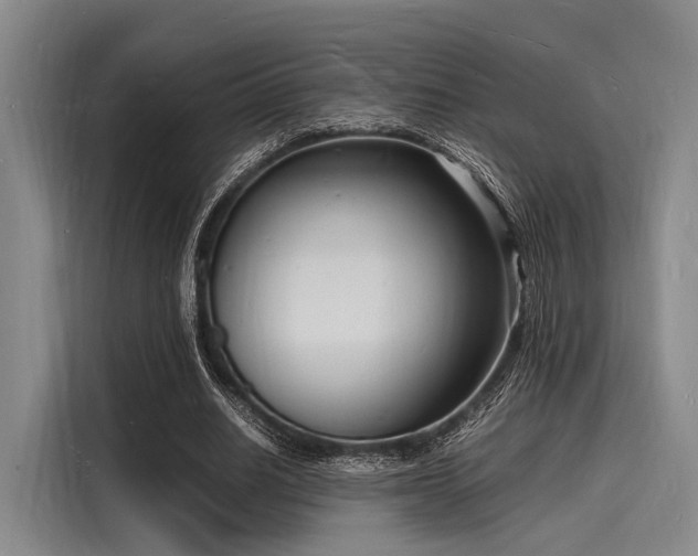 X0000116140630200911301521