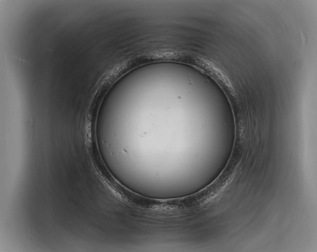 X0000116140633200911301521