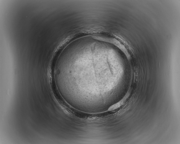 X0000116140634200911301521