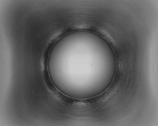 X0000116140635200911301521