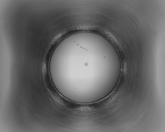 X0000116140636200911301521
