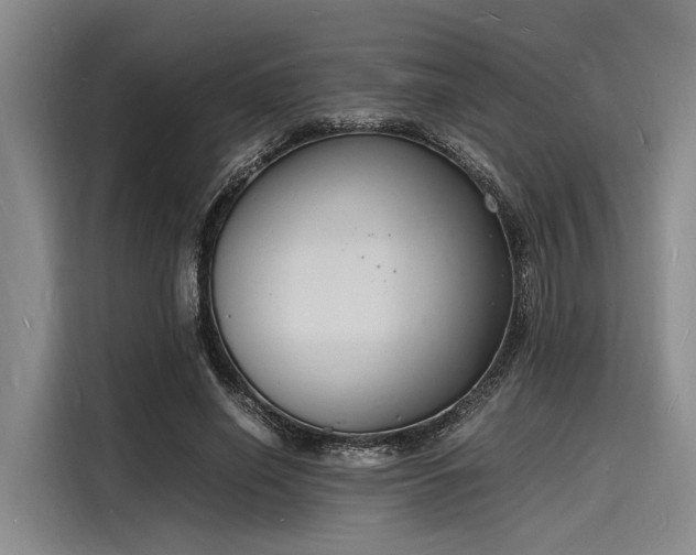 X0000116140638200911301521