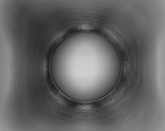 X0000116140639200911301521