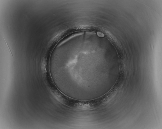 X0000116140640200911301521