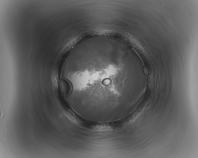 X0000116140644200911301521