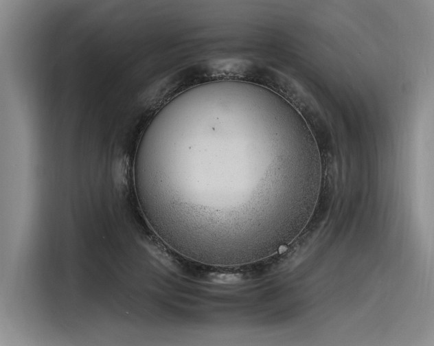 X0000116140649200911301521