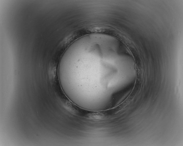 X0000116140652200911301521