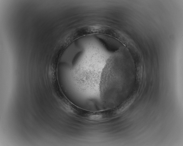 X0000116140653200911301521